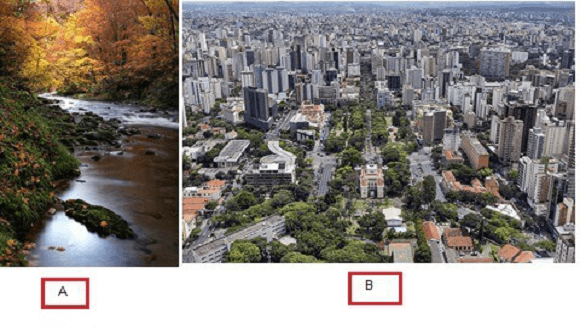 Paisagem natural e social
