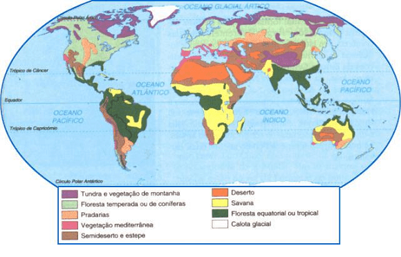 Mapa vegetação mundial