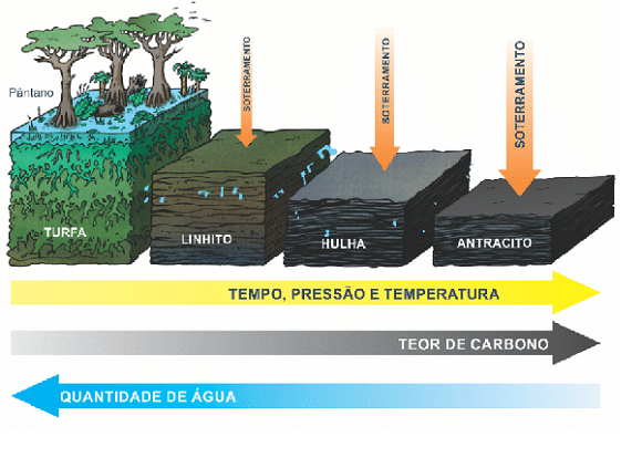 Formação do carvão mineral