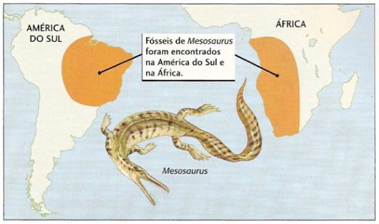 Fóssil de Mesossauro