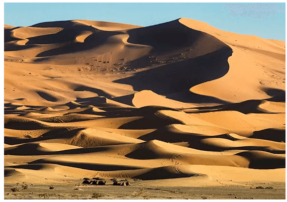 Dunas