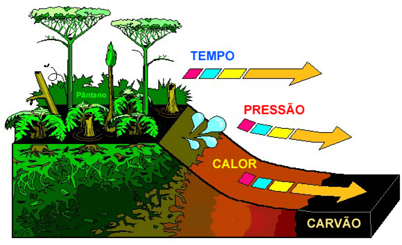 Formação do carvão mineral a partir de matéria vegetal, tempo, pressão e calor