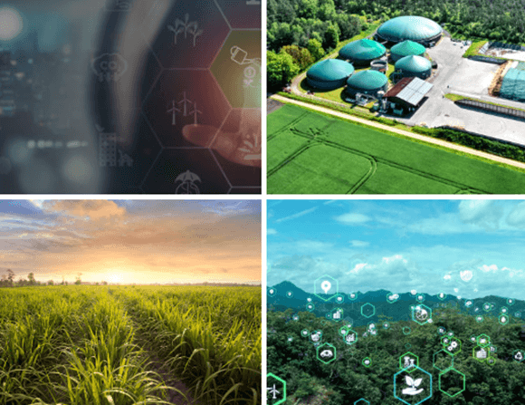 Biomassa: biodigestores em fazenda e campo agrícola