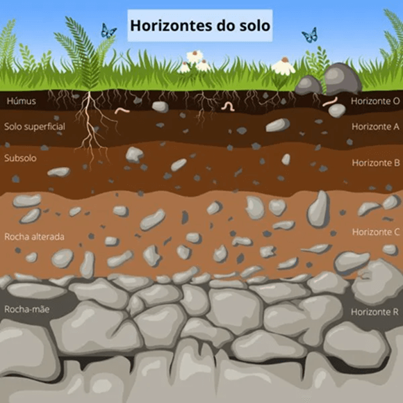 Horizontes do solo: húmus, solo superficial, subsolo, rocha alterada e rocha-mãe