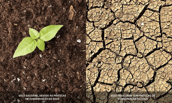Solo saudável com muda germinando e solo insalubre e rachado