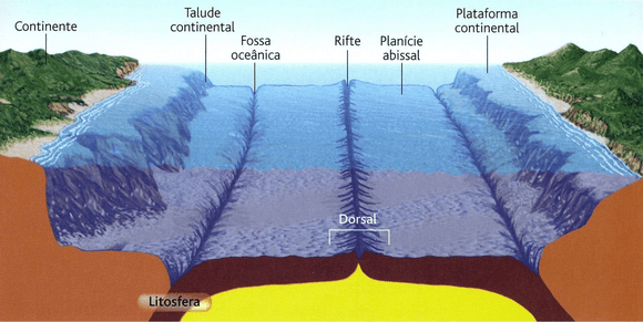 Perfil do relevo oceânico