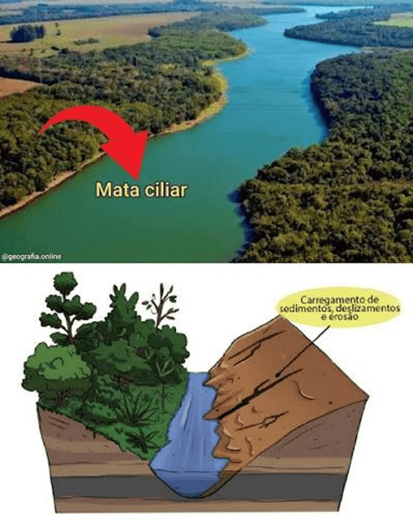 Mata ciliar preservada refletida nas águas de um rio