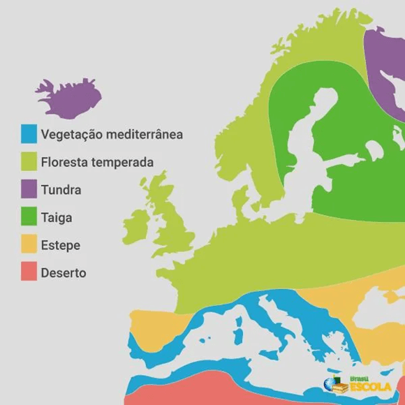 Mapa da vegetação do continente europeu - Duvid Geografia